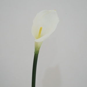 Fiori di Calla Artificiali di Alta Qualità per Decorazioni Domestiche, Matrimoni, Eventi, Natale e <span class=keywords><strong>Festa</strong></span> <span class=keywords><strong>della</strong></span> <span class=keywords><strong>Mamma</strong></span> - Product Image 5