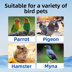 Suplemento Multivitamínico con Electrolitos Xiaopet, Productos para la Salud de Mascotas, Fabricante de Origen Personalizado OEM - Product Image 5