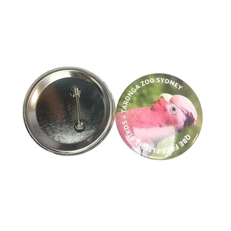 Kostenlose Probe Zinn Button Badge Eule Tier Zinn Abzeichen Mit Sichere Pins