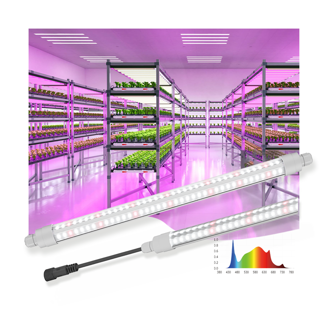 Customized T8 LED Grow Light Full Spectrum Plant Grow Light for Indoor Greenhouse Vertical Farm Tomato Plants Growth Light IP65