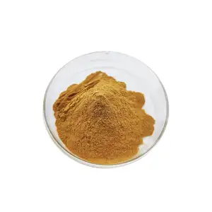 10%-15% kualitas tinggi Food Grade Honeysuckle ekstrak bubuk tanpa aditif asam klorogenik murni