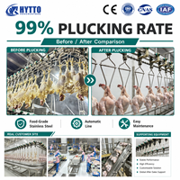 Équipement d'abattage de volailles 6000-8000BPH, Ligne d'abattage de poulets, Projet d'usine