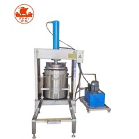 Industriële Hydraulische Fruit Groente Filter Druk Sapcentrifuge Druif Knijpen Drukken Sap Making Machine Dehydrator