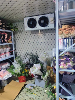 Cámara Frigorífica Modular para Frutas y Verduras, con Compresor Copeland