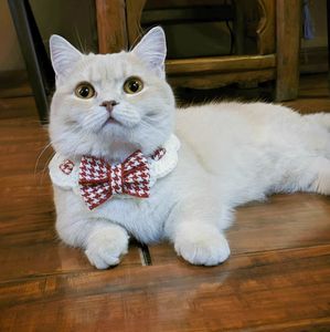 Handgemaakte Luxe Kat Hond Wol Gebreide Hals Sjaal Cartoon Stijl Brief <span class=keywords><strong>Print</strong></span> Patroon Duurzame Huisdier Sieraden Lint Kragen - Product Image 3