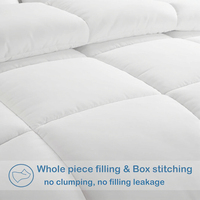 Ensembles de couettes en polyester de haute qualité Léger Soft Moder King Size pour la maison ou l'hôtel