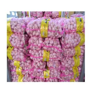 Jining fábrica al por mayor China agrícola fresco normal ajo blanco al por mayor 50mm 55mm 60mm ajo blanco puro para la venta - Product Image 5