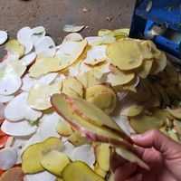 Elektrische fruit- en groentesnijder met verstelbare dikte, geschikt voor huishoudelijk en commercieel gebruik