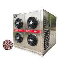 Industrial fruit and vegetable dehydrator ginger slice onion food dehydrator supplier
