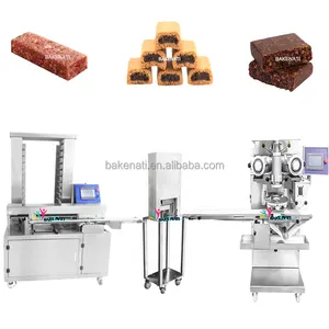 BNT-208A Fully Automatic Fig Bar Making Machine Date Bar Machine Date Bar Forming Machine