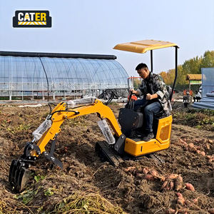 LIVRAISON GRATUITE CE EPA <span class=keywords><strong>Mini</strong></span>-excavatrice sur chenilles hydraulique diesel d'<span class=keywords><strong>occasion</strong></span> pour travaux agricoles avec moteur 11.52,2.5 - Product Image 4