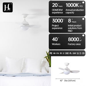 Ventilador de Techo con Luz LED de Estilo Minimalista, Más Vendido, para Habitaciones Pequeñas, Varios Tamaños Disponibles - Product Image 5