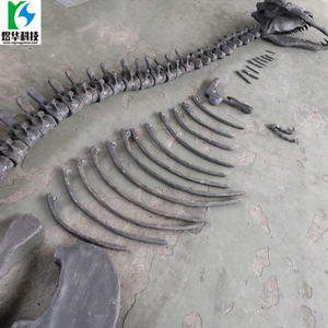 Fabriek Op Maat Gemaakte Realistische Fossiele Tentoonstelling Dinosaurus Bot - Product Image 2