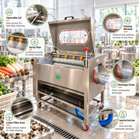 Machine de nettoyage à rouleaux pour légumes, pour l'élimination de la boue, le lavage et le pelage