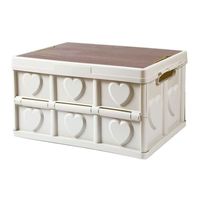 Boîte de rangement pliable d'extérieur anti-poussière de style nordique moderne avec couvercle en bois, en PP, pliable pour le camping et l'utilisation en extérieur