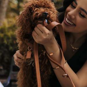 Arnés y Correa para Perro de Lujo Ajustable, Acolchado, de Nailon y Cuero Genuino, Personalizado y de Alta Calidad, Marca Henshine - Product Image 6