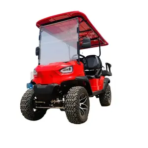 Factory Supply 2~8 Seat Sightseeing Legal Gasoline And Electric Golf Vehicle Cart