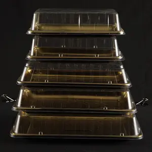 일회용 금 물집 케이크 포장 트레이 상자 투명 뚜껑이있는 직사각형 디저트 스시 비스킷 용기