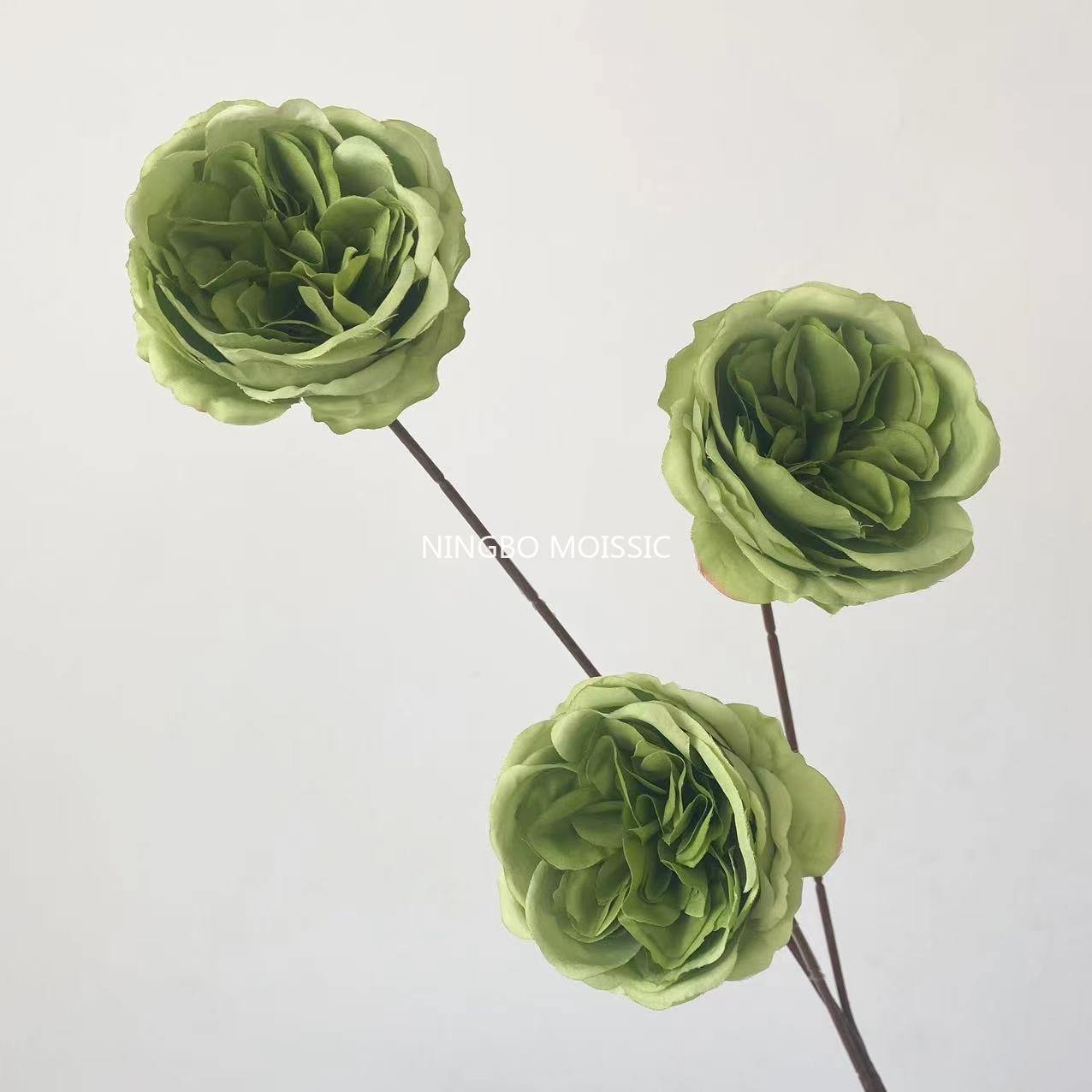 สีเขียว