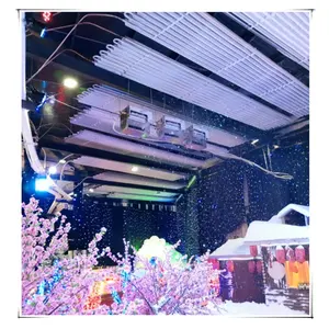 Indoor and outdoor snow project ice sculpture snow scene snow making machine