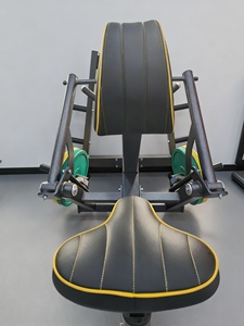 Longglory phòng tập thể dục thiết bị thể hình tấm nạp máy trở lại bài tập máy hàng Chèo thuyền máy ngồi hàng máy - Product Image 2