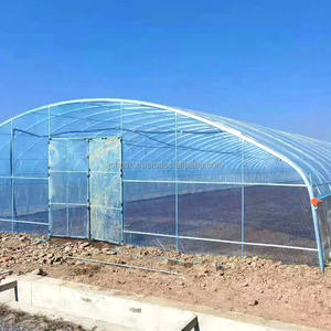 Invernadero Agrícola de un Solo Tramo a Precio Económico al por Mayor, Invernadero de Túnel de Polietileno de 3060 mm para Cultivo de Vegetales - Product Image 1