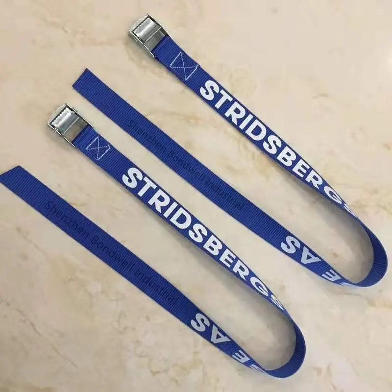 Customized Logo printed Cargo tie down lashing straps with cam lock buckle