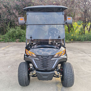 Voiturette de golf électrique à batterie au lithium 2 places 48 Volt Street Legal Boîtes latérales personnalisées certifiées CE 50-70 Km/h - Product Image 3