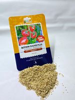 Graines de tomates hybrides Botani Djuve F1 Upland Merah pour la culture agricole 1000 g Indonésie