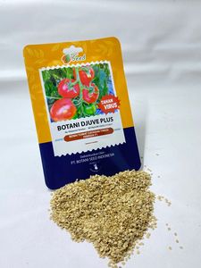 เมล็ดมะเขือเทศพันธุ์โบตานี ดูเว่ เอฟ1: เมล็ดพันธุ์มะเขือเทศพันธุ์ไฮแลนด์ให้ผลผลิตสูง ทนโรค ผู้จัดจำหน่ายเมล็ดพันธุ์ - Product Image 2