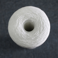 Filtre à eau enroulé en fil de PP et coton de 20 pouces et 5 microns