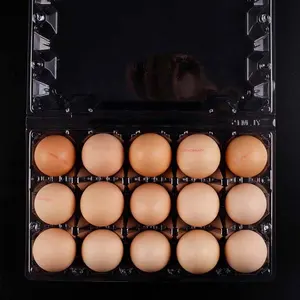 15 Holes Jumbo Large Big Chicken Eggs Duck Eggs Pits Containers OEM ODM LOGO Accept For Warehouse For Shopping Plaza