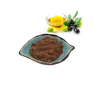 Penjualan Terbaik bubuk ekstrak daun zaitun polifenol tinggi 98% hidroksityrosol jumlah besar bubuk ekstrak daun zaitun - Product Image 2
