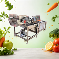Multifunctionele hogedruk elektrische belletjesreinigingsmachine 380V Jinglong voor groenteverwerkingsbedrijven en fruitreiniging