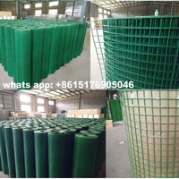 Grillage soudé en plastique vert de 1/2 pouce