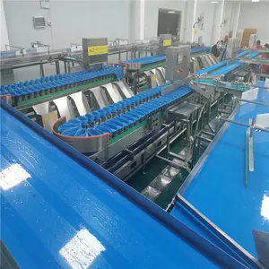 Sheep Hoof Weight Sorter Machine Chicken Wing Automatic Grading Machine Steel Poultry Sorting Machine