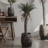 Pot de fleurs vintage moderne minimaliste en fibre de verre, grand calibre, pour jardin intérieur, plantes vertes domestiques, unique, fait main, à base d'eau