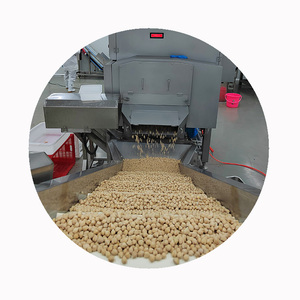 Hữu cơ đông lạnh tươi chickpeas gmo-miễn phí chick peas và garbanzo đậu iqf số lượng lớn giá bán buôn - Product Image 6
