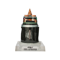 25mm² 50mm² 70mm² 95mm² 240mm² 0,6/1kV XLPE/PVC Aluminium-Kupfer Armiertes Stromkabel