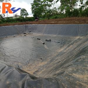 Géomembrane HDPE imperméable à haute résistance à la traction et à la perforation, revêtement de <span class=keywords><strong>bassin</strong></span> <span class=keywords><strong>pour</strong></span> l'aquaculture, élevage de poissons - Product Image 1