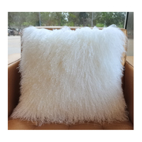Luxe décoratif en peau de mouton fourrure jeter taie d'oreiller Tibet agneau fourrure housse de coussin pour canapé canapé chambre