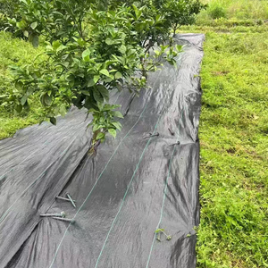 Tissu géotextile en tissu tissé PP pour arrêter la croissance de l'herbe <span class=keywords><strong>barrière</strong></span> contre les mauvaises herbes et tissu de contrôle des mauvaises herbes couverture de sol de jardin tapis anti-UV contre les mauvaises herbes - Product Image 2