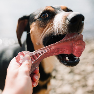 Juguete para Perros de Caucho Natural Tize, Hueso para Masticar, Juguetes Indestructibles para Perros - Product Image 6