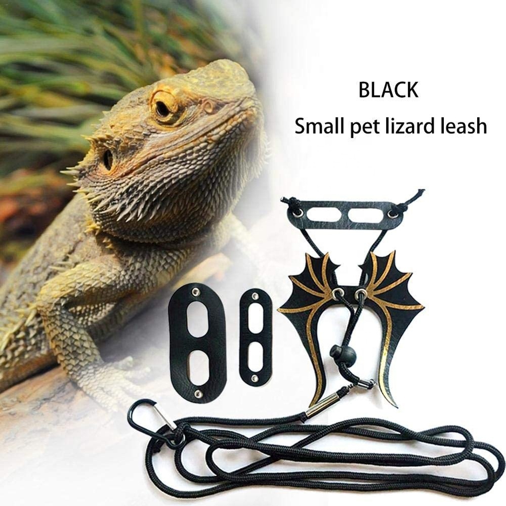 Set Completo Per Drago Barbuto - Guinzaglio Regolabile, Collare Con Fiocco, Cappello E Skateboard, In Similpelle, Per Rettili E Piccoli Animali Domestici