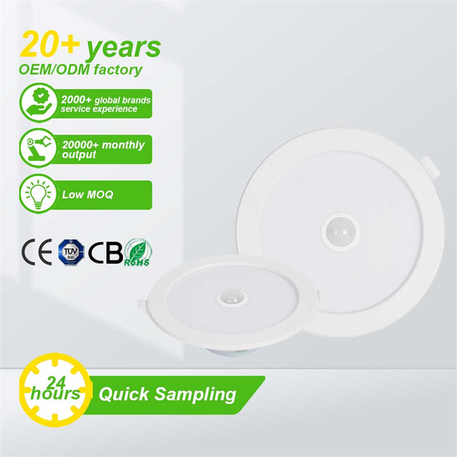 Recessed Mounted 6W 8W 10W Sensor Rechargeable Led Emergency Downlight