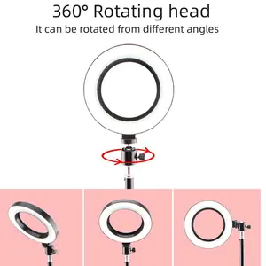 10-Inch Ringlamp Met 10W Power Fotografische Verlichting En 1.1 Temperatuur Voor Live Streaming Make-Up Inclusief Statief