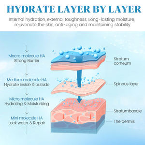 Private Label 15ml Hidratación y plenitud Volumen Rodillo para el cuidado <span class=keywords><strong>de</strong></span> los <span class=keywords><strong>labios</strong></span> Reemplazo <span class=keywords><strong>de</strong></span> relleno Lip Serum Roller Serum Oil - Product Image 6