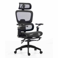Silla Ergonómica de Malla con Reposabrazos Ajustables 6D, Soporte Lumbar, Giro de 360 Grados, Estructura de Nylon, Contemporánea, para Dormitorio, Oficina en Casa, Venta al por Mayor
