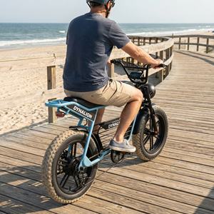 All Terrain Cruise elektrische fiets met dikke banden en voorvorkvering, robuuste dikkebanden e-bike voor ritjes op de pier en langs de loopplanken - Product Image 5