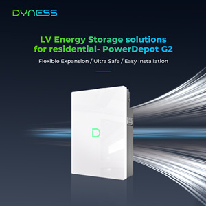 Dyness Powerdepot G2 LV 51,2 V 100AH Lifepo4 batería 5kwh IP66 batería de litio 8000 ciclo almacenamiento de energía en el hogar 5 ~ 250kwh con Solis - Product Image 3